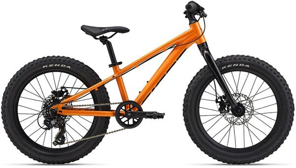 Xe đạp trẻ em Giant STP 20 2024***